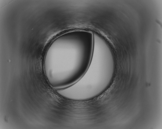 X0000091651214200708231003