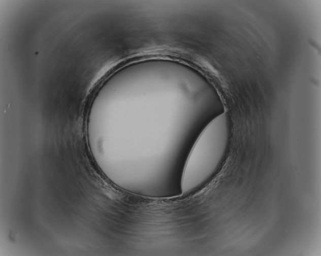 X0000091651216200708231003