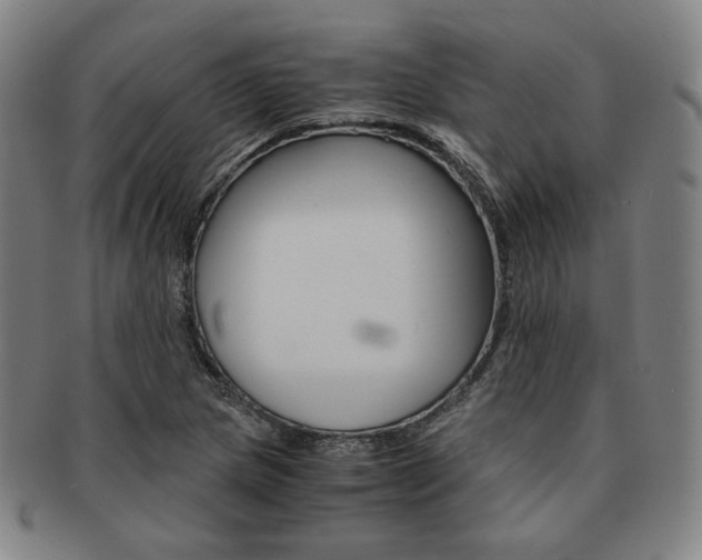 X0000091651217200708231003