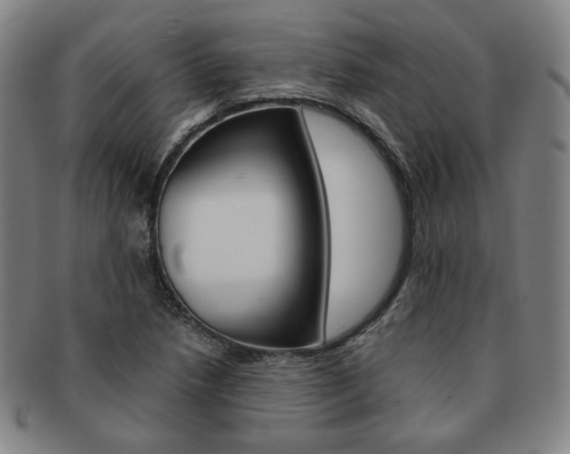 X0000091651218200708231003