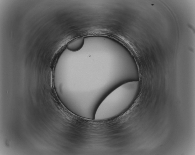 X0000091651219200708231003