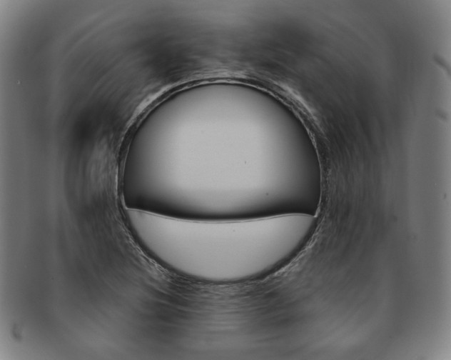 X0000091651220200708231003
