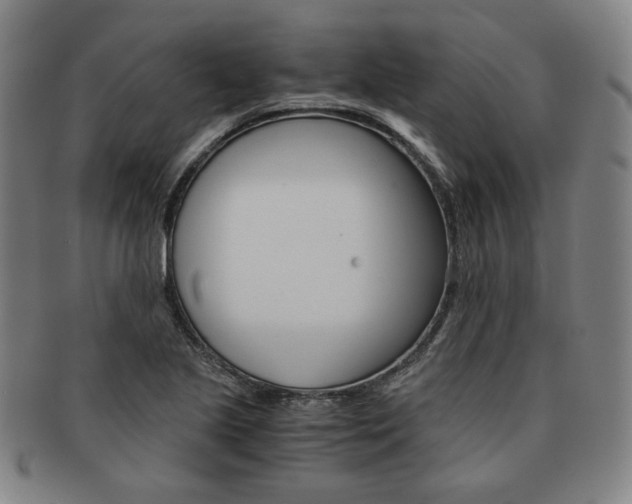 X0000091651221200708231003