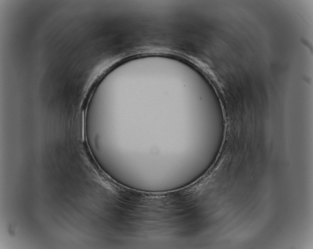 X0000091651223200708231003