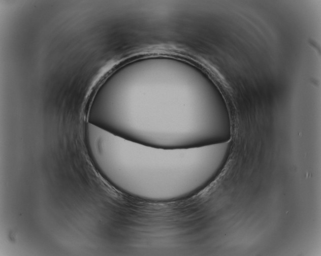 X0000091651224200708231003