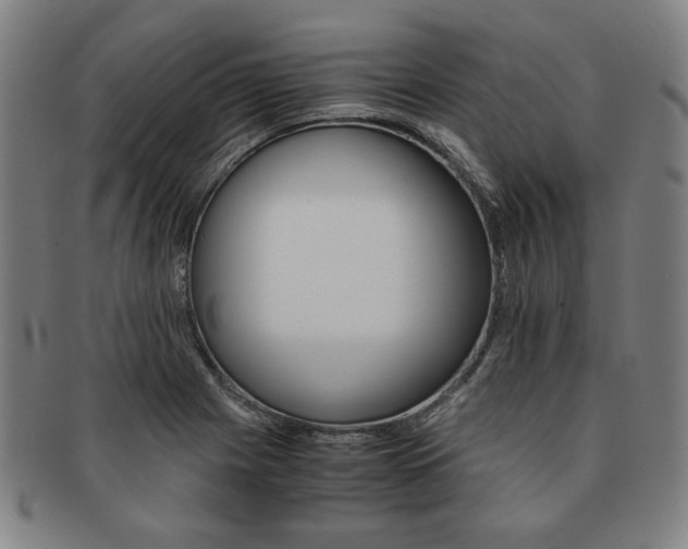 X0000091651225200708231003