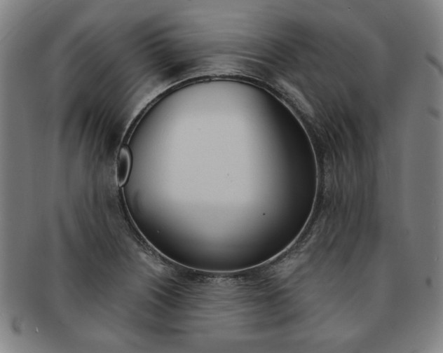X0000091651226200708231003