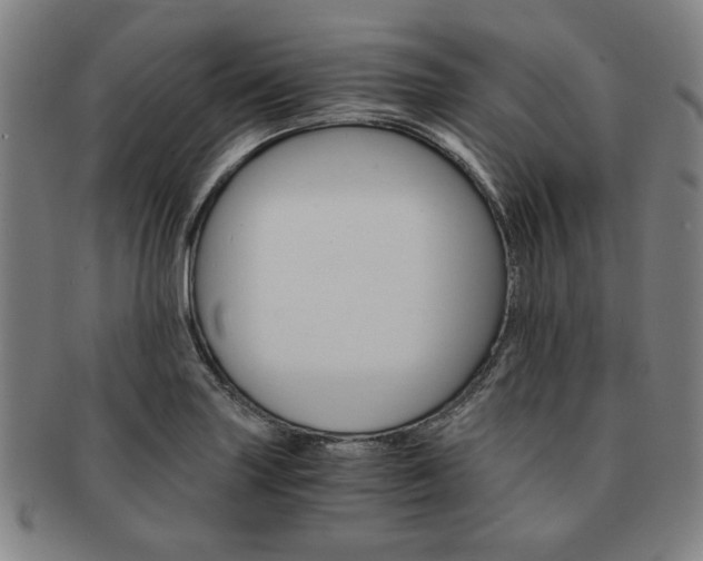X0000091651227200708231003