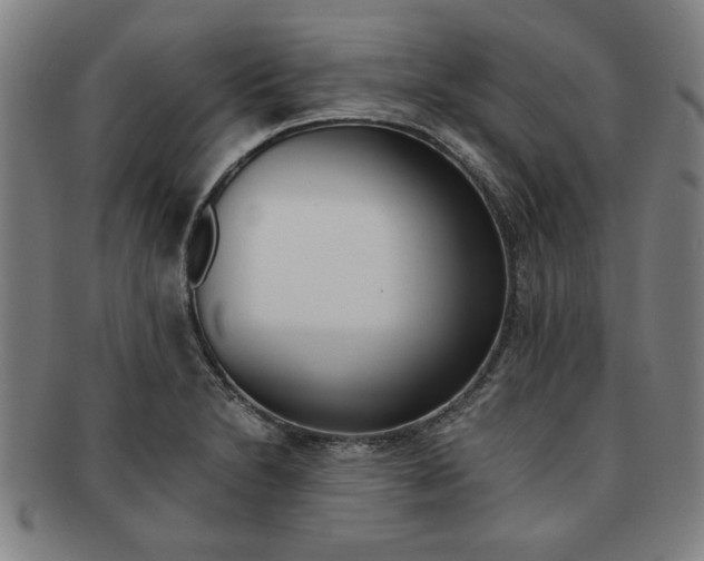 X0000091651230200708231003