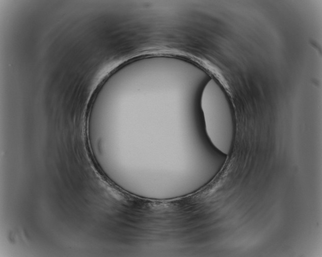X0000091651231200708231003