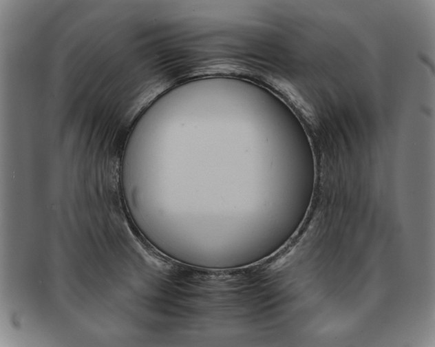 X0000091651233200708231003