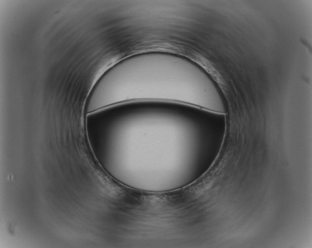 X0000091651234200708231003