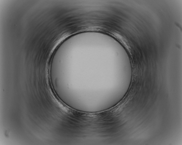 X0000091651235200708231003
