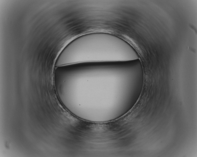 X0000091651236200708231003