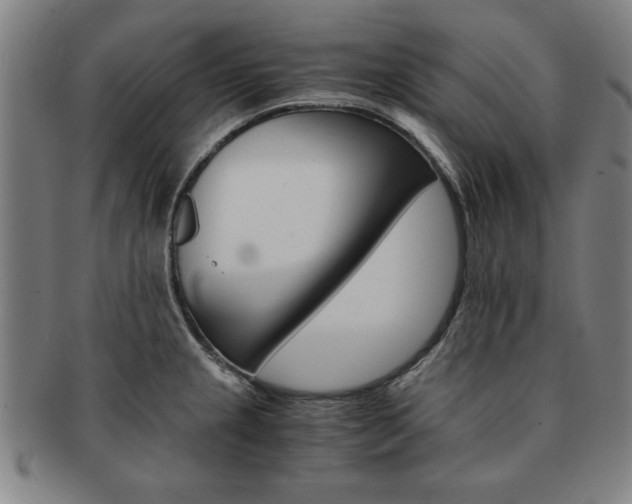 X0000091651237200708231003