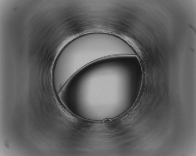 X0000091651238200708231003
