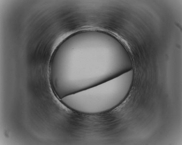 X0000091651239200708231003