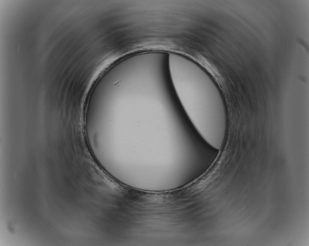 X0000091651240200708231003