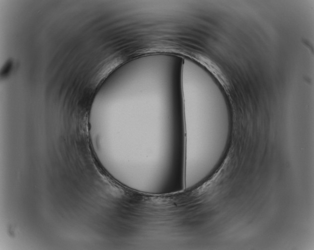 X0000091651241200708231003