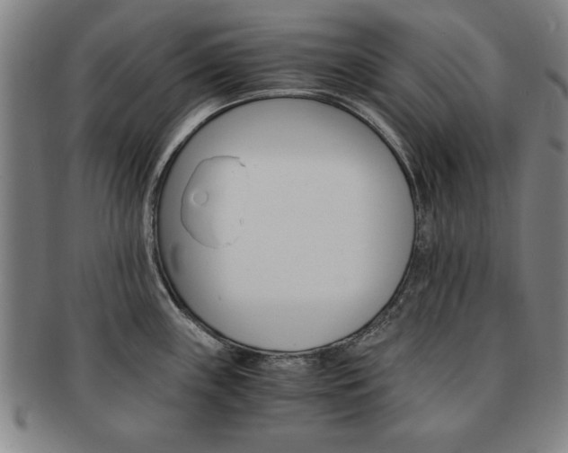 X0000091651243200708231003