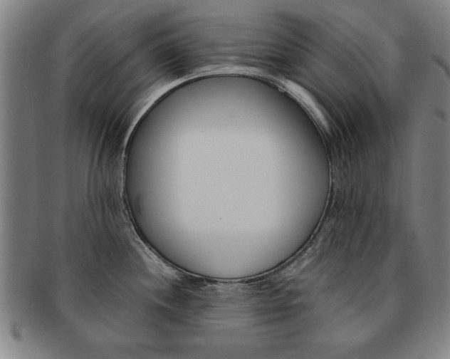 X0000091651244200708231003