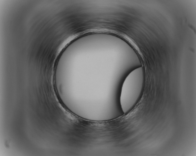 X0000091651245200708231003