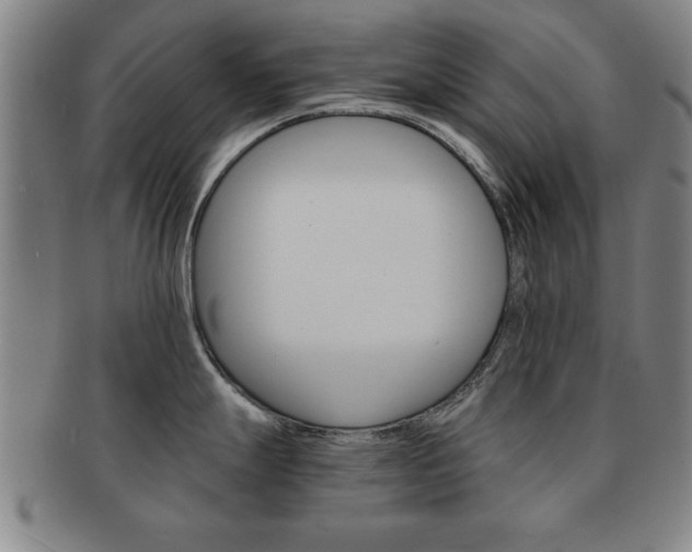 X0000091651247200708231003