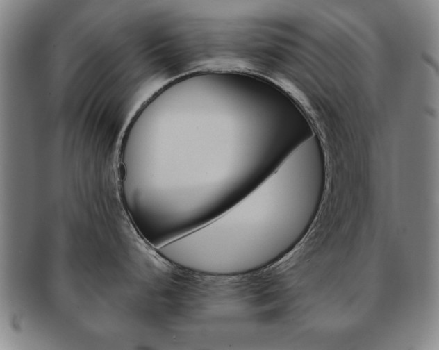 X0000091651248200708231003