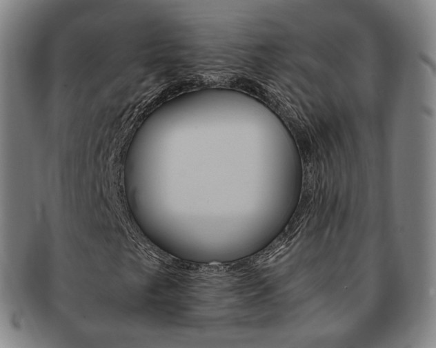 X0000091651249200708231002