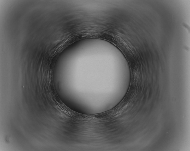 X0000091651250200708231002