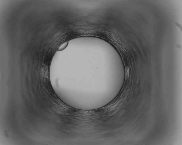 X0000091651251200708231002