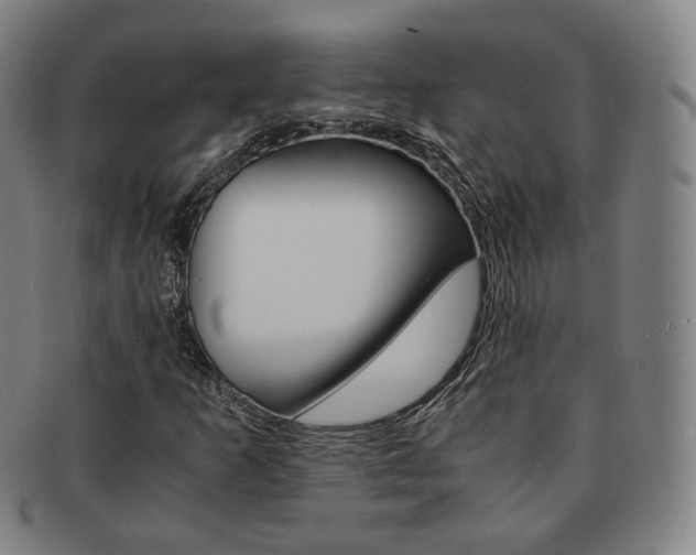 X0000091651253200708231002