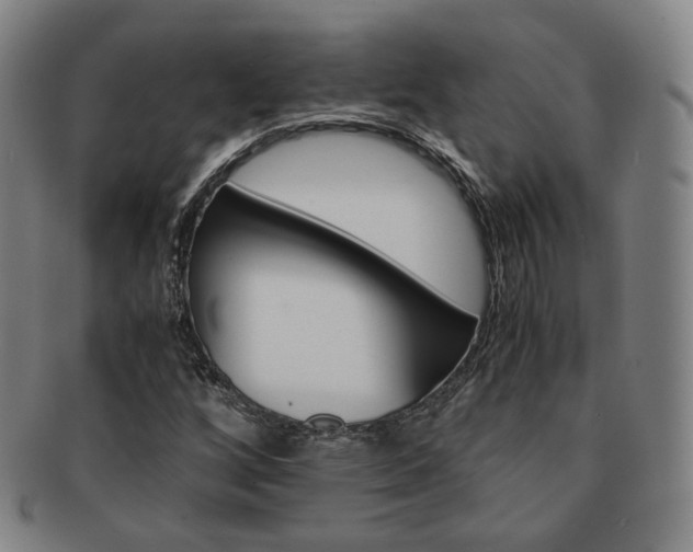 X0000091651256200708231002