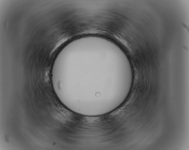X0000091651258200708231002