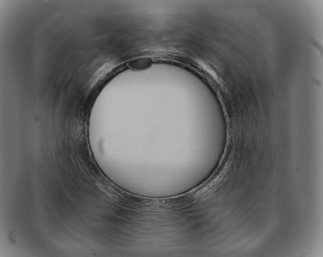 X0000091651259200708231002