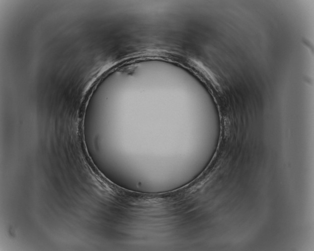 X0000091651260200708231002