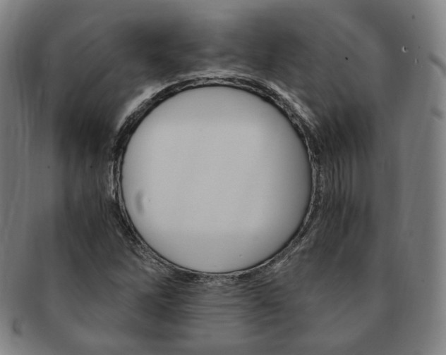 X0000091651262200708231002