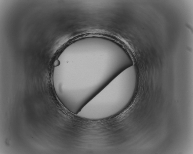 X0000091651263200708231002