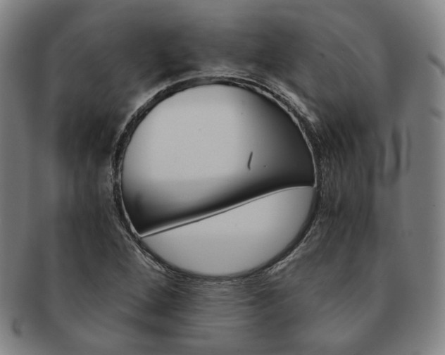 X0000091651264200708231002