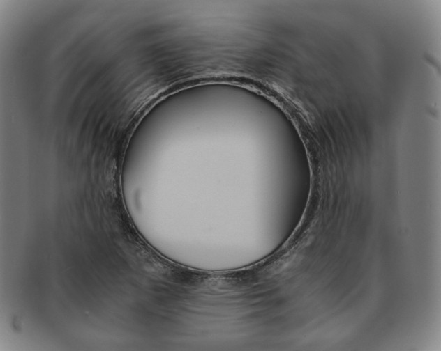 X0000091651265200708231002