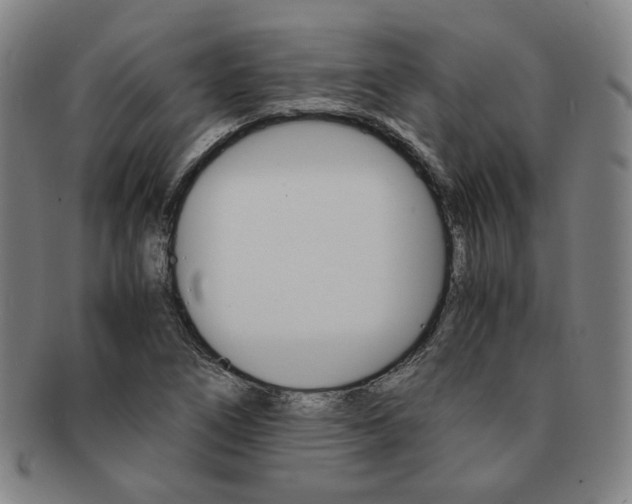 X0000091651266200708231002