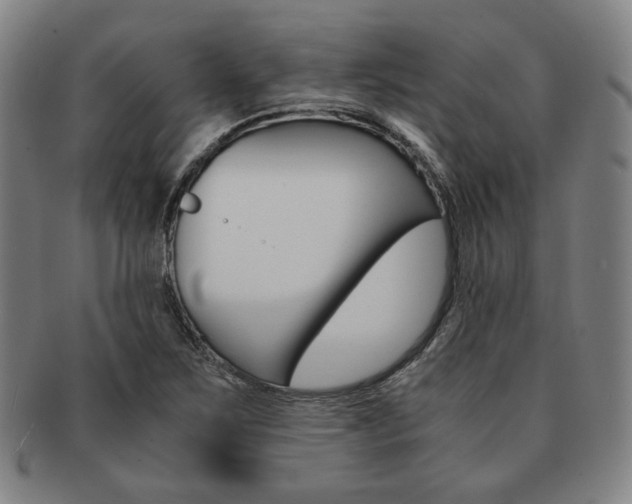 X0000091651267200708231002