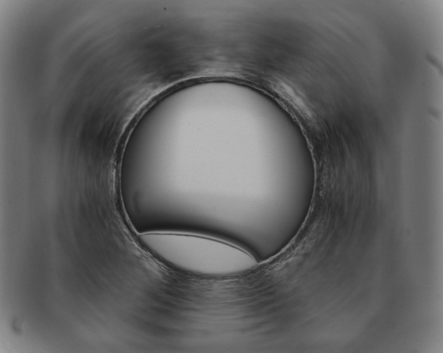 X0000091651268200708231002