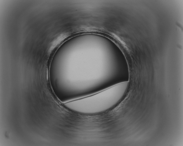 X0000091651269200708231002