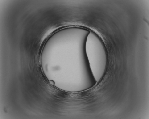 X0000091651271200708231002