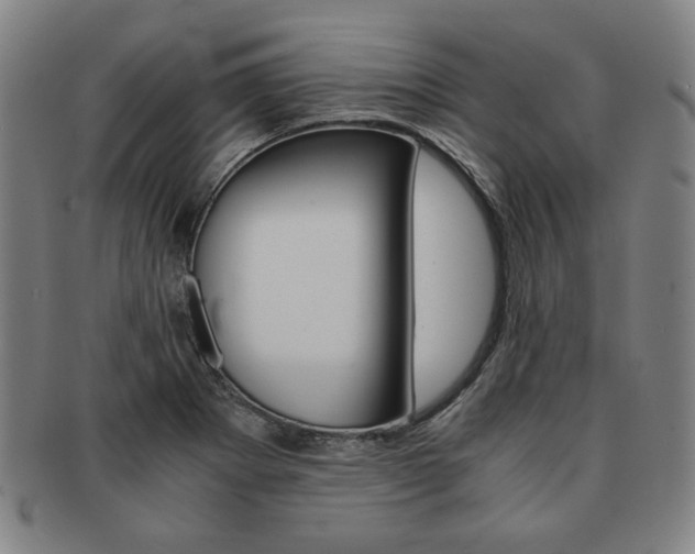 X0000091651273200708231002