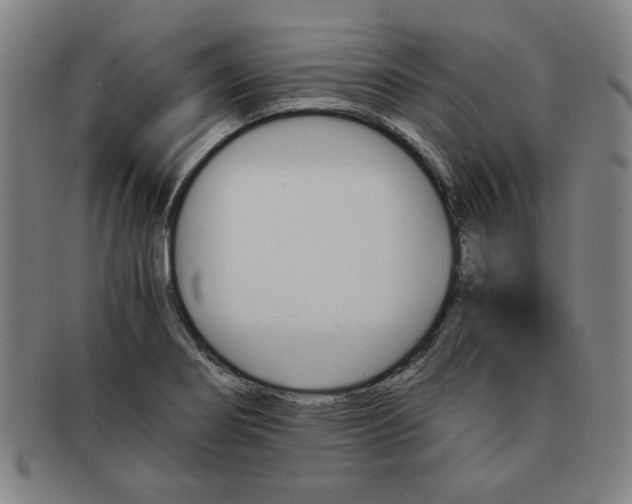 X0000091651274200708231002