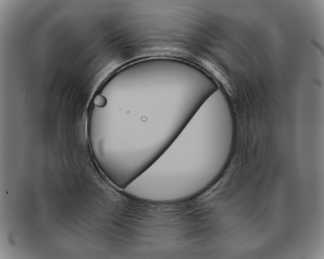 X0000091651275200708231002