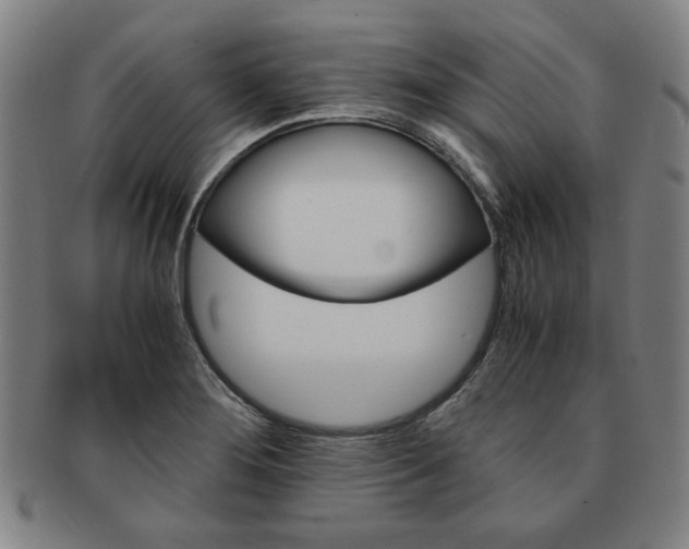 X0000091651276200708231002