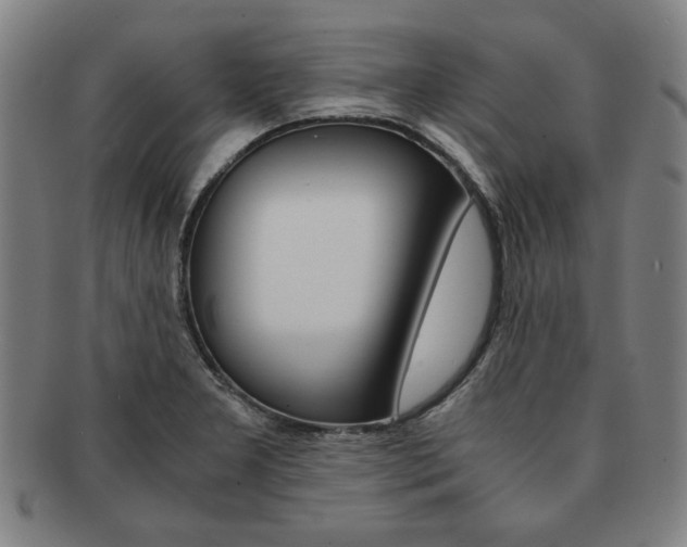 X0000091651277200708231002